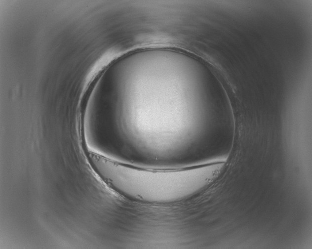 X0000077311472200610201140