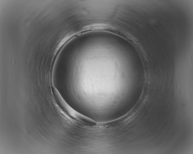 X0000077311473200610201140