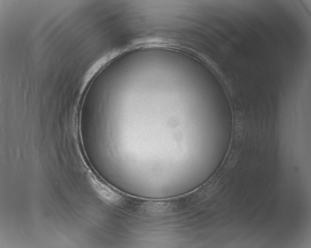 X0000077311474200610201140