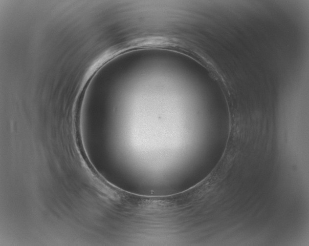 X0000077311475200610201140