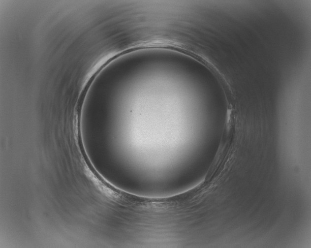 X0000077311476200610201140