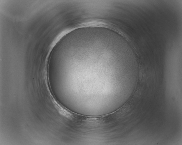 X0000077311478200610201140