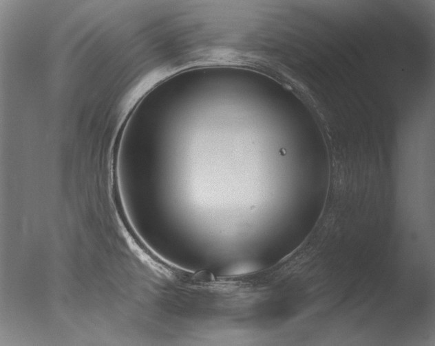 X0000077311479200610201140