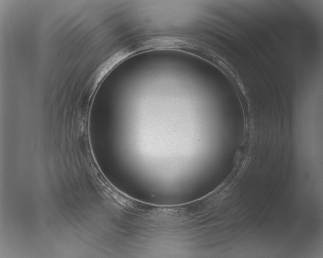 X0000077311481200610201140
