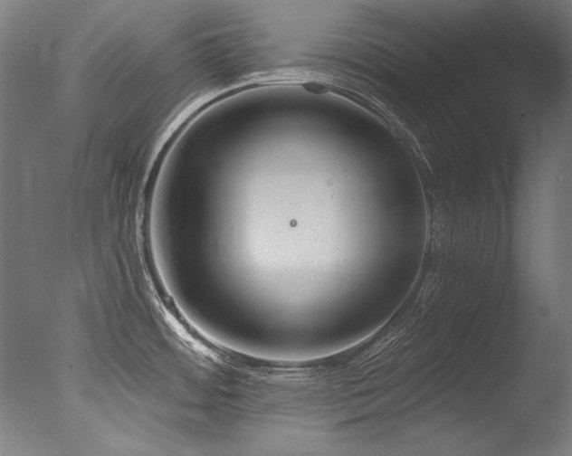 X0000077311484200610201140