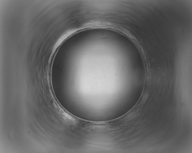 X0000077311486200610201140