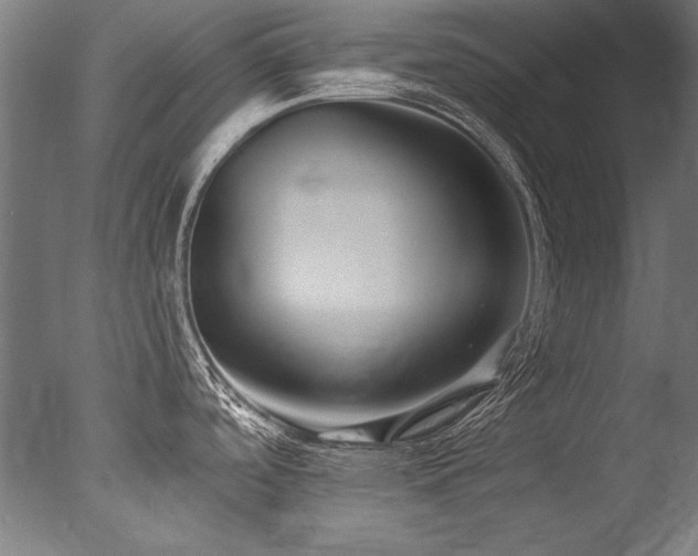 X0000077311488200610201140