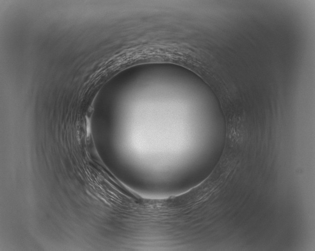 X0000077311490200610201139