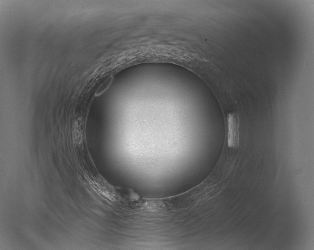 X0000077311491200610201139