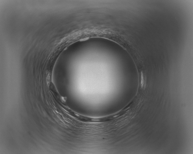 X0000077311492200610201139