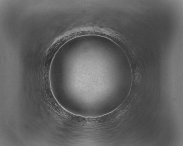 X0000077311494200610201139