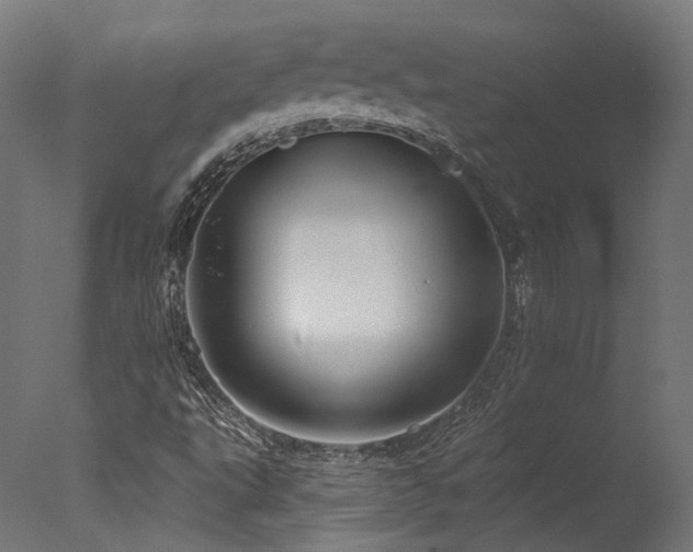 X0000077311495200610201139