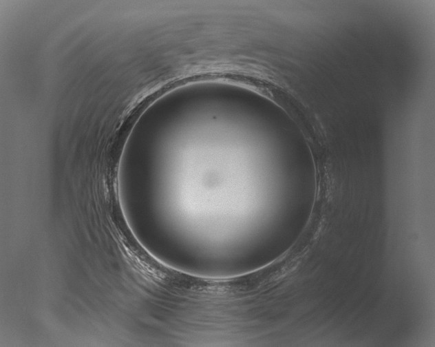 X0000077311497200610201139