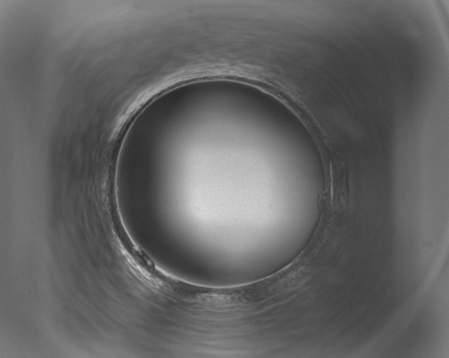 X0000077311500200610201139