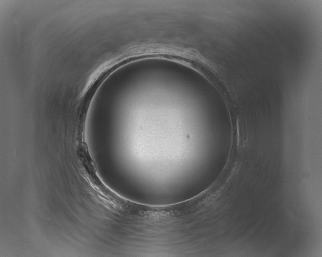X0000077311501200610201139
