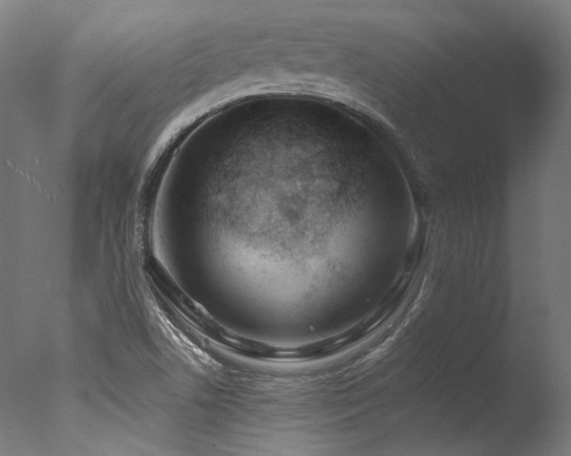 X0000077311506200610201139