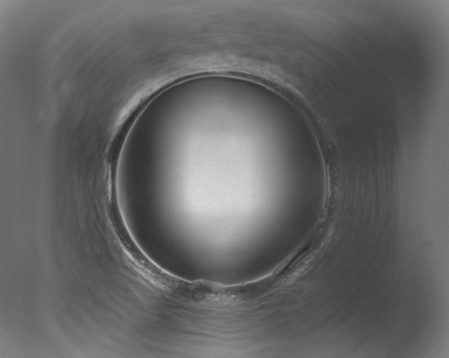 X0000077311509200610201139