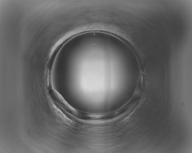 X0000077311510200610201139