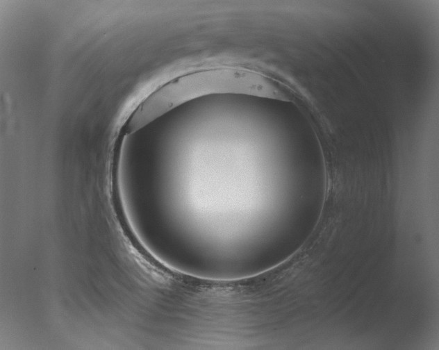 X0000077311512200610201139