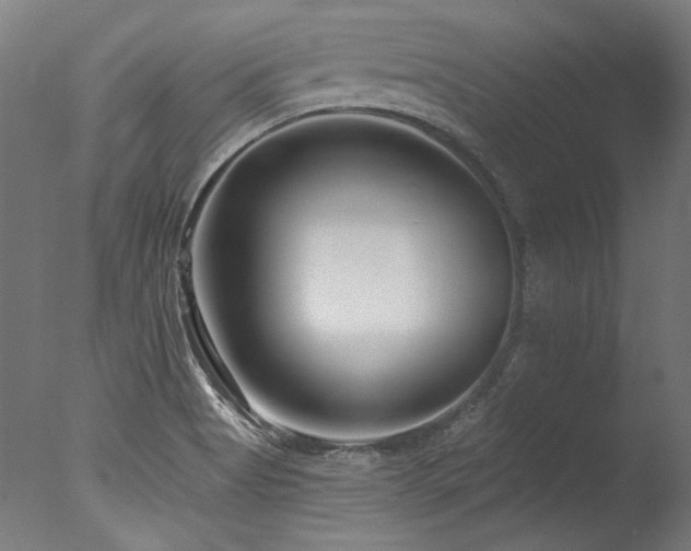 X0000077311513200610201140