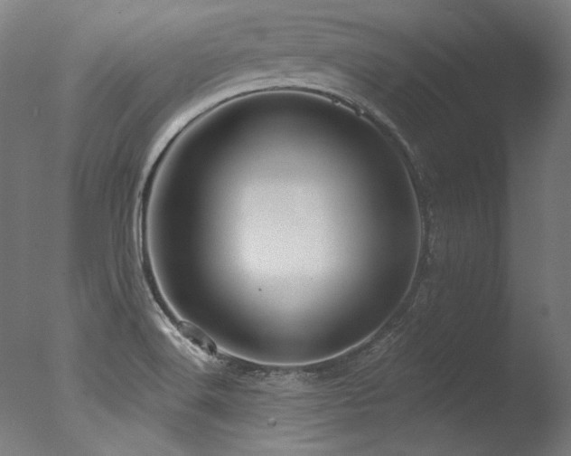X0000077311516200610201140