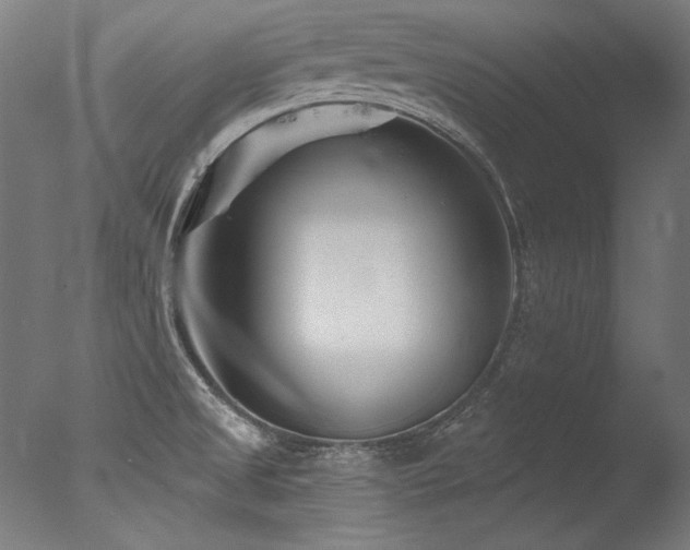 X0000077311525200610201140