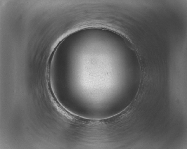 X0000077311526200610201140