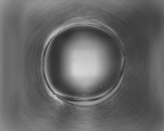 X0000077311528200610201140