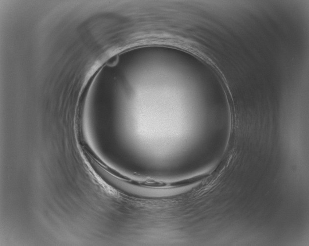 X0000077311533200610201140