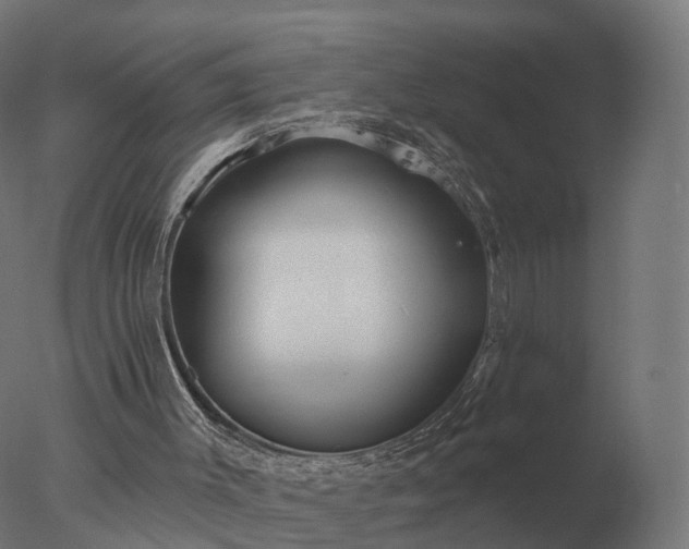 X0000077310003200610271655