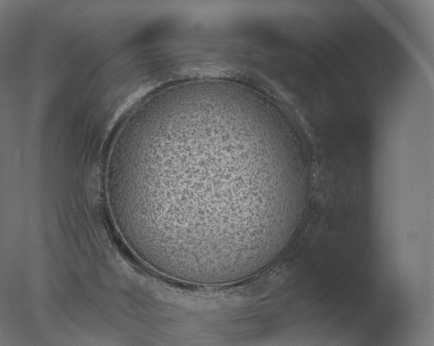X0000077310012200610271655