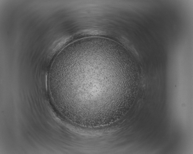 X0000077310014200610271655