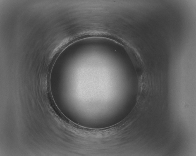 X0000077310015200610271655