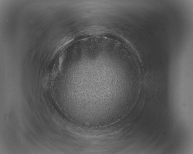 X0000077310018200610271655