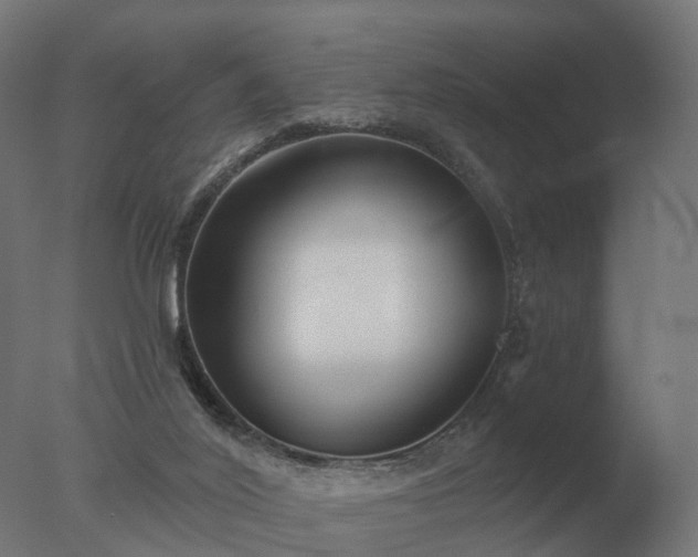 X0000077310020200610271655
