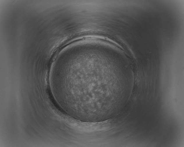 X0000077310023200610271655