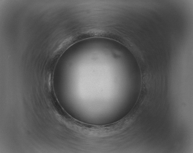 X0000077310024200610271655