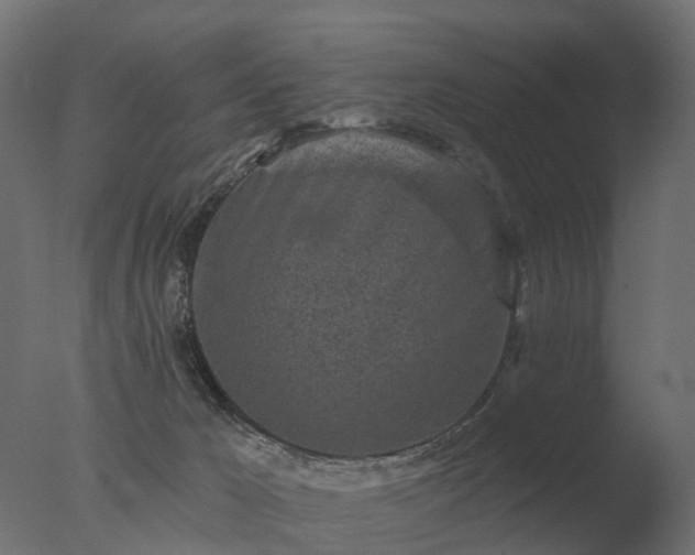 X0000077310029200610271655