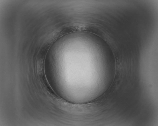 X0000077310030200610271655