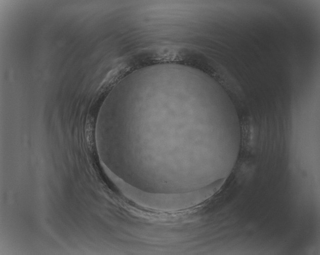 X0000077310035200610271655
