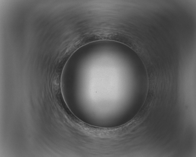 X0000077310040200610271655