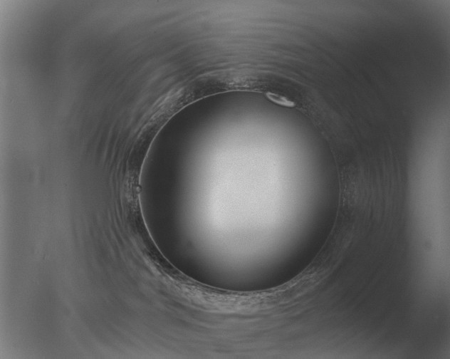 X0000077310044200610271655
