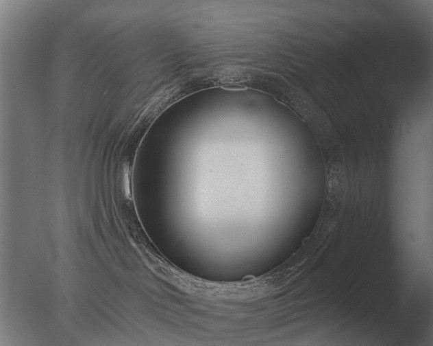 X0000077310046200610271655