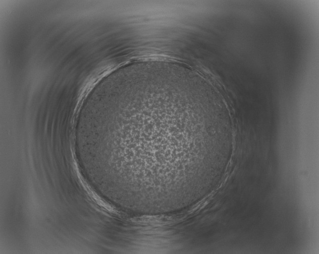 X0000077310049200610271654