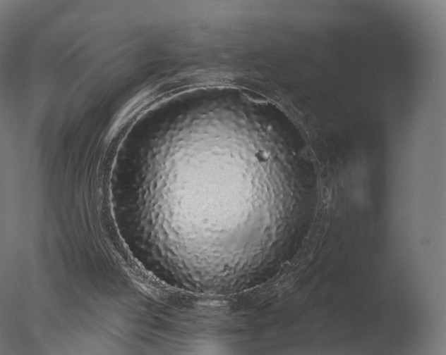 X0000077310053200610271654
