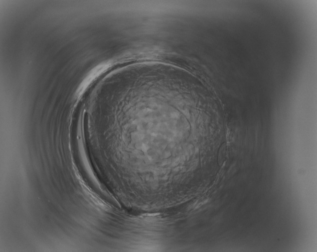 X0000077310054200610271654