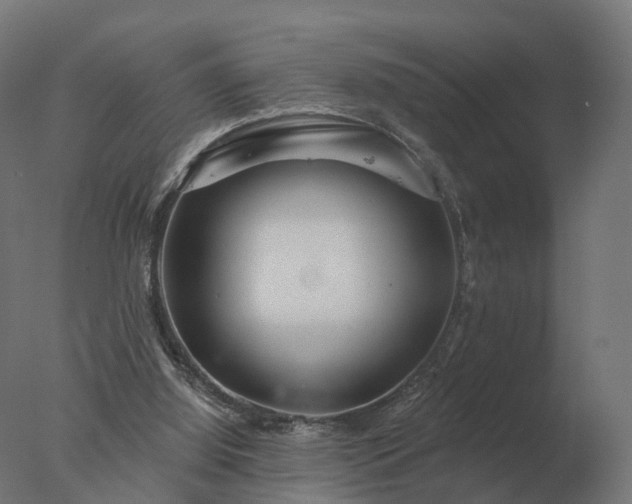 X0000077310060200610271654