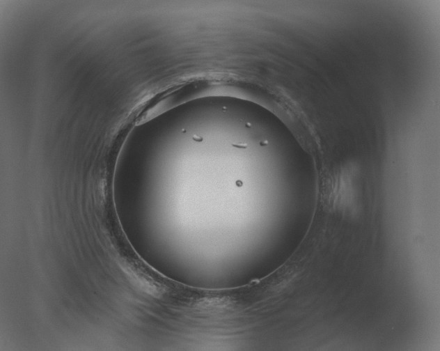 X0000077310063200610271654