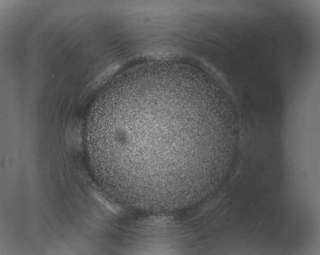 X0000077310065200610271654