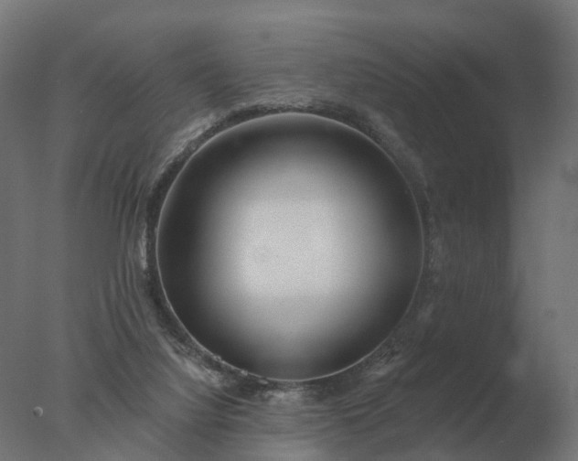 X0000077310068200610271654